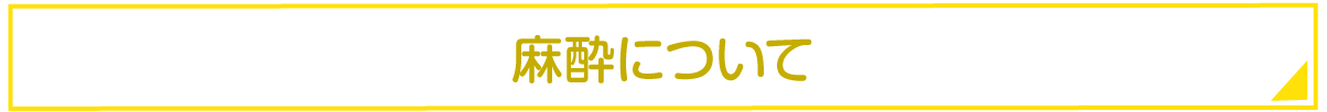 学生割引ー