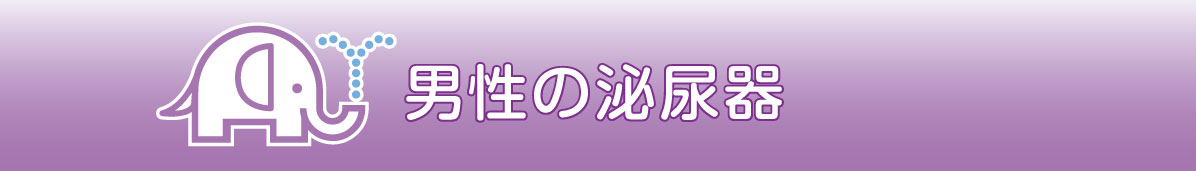 男性の泌尿器科
