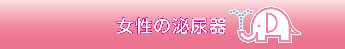 女性の泌尿器科