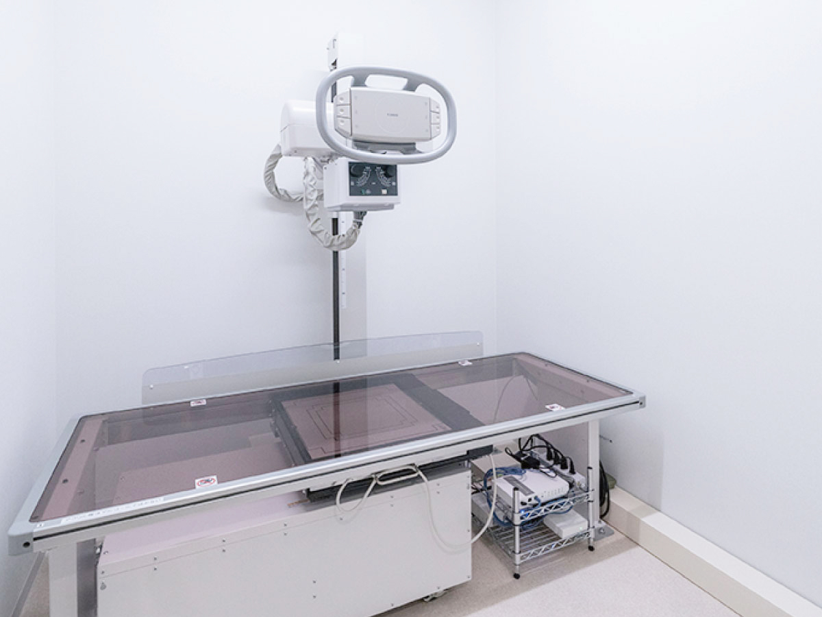 レントゲン検査